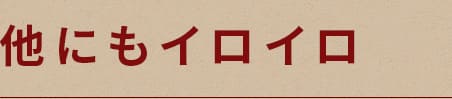 他にもイロイロ